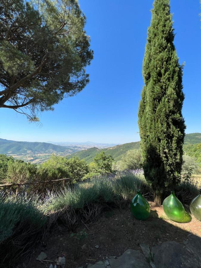 Coppa Di Sopra - Beautiful Villa With Superb View Santa Cristina  Ngoại thất bức ảnh